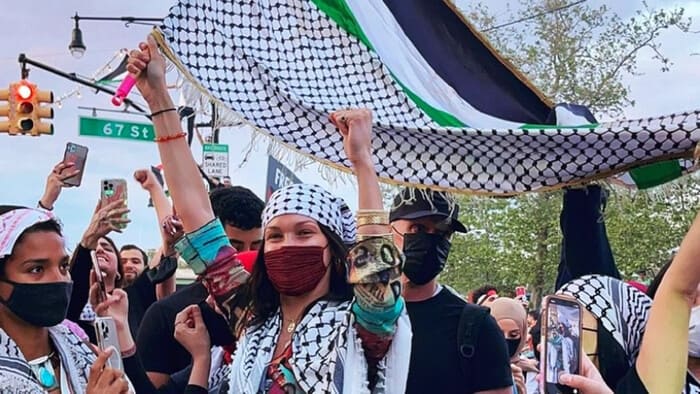 Белла Хадид с флагом Палестины